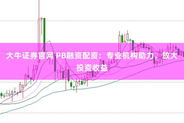大牛证券官网 PB融资配资：专业机构助力，放大投资收益