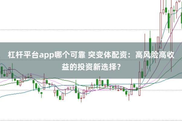 杠杆平台app哪个可靠 突变体配资：高风险高收益的投资新选择？