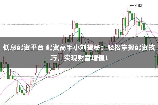 低息配资平台 配资高手小刘揭秘：轻松掌握配资技巧，实现财富增值！