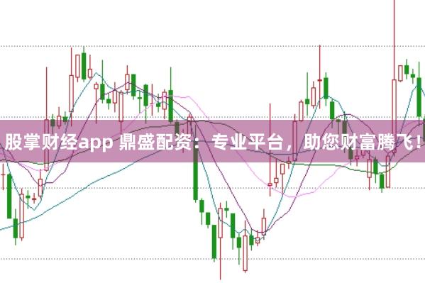 股掌财经app 鼎盛配资：专业平台，助您财富腾飞！
