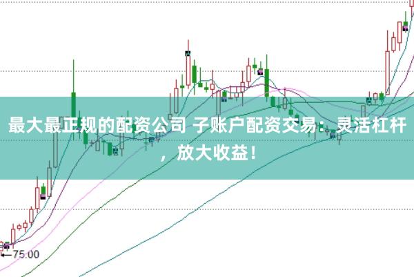 最大最正规的配资公司 子账户配资交易：灵活杠杆，放大收益！