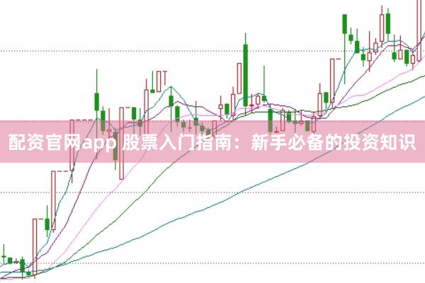 配资官网app 股票入门指南：新手必备的投资知识