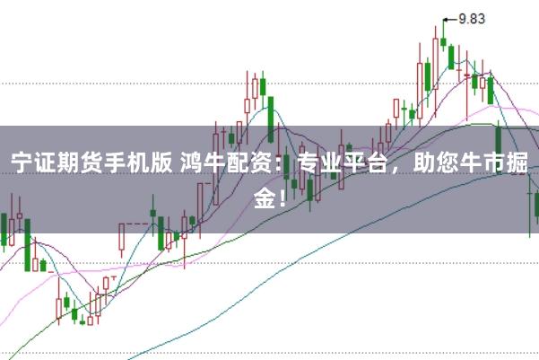 宁证期货手机版 鸿牛配资：专业平台，助您牛市掘金！