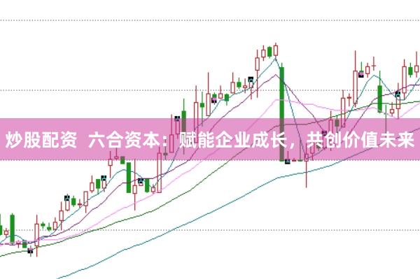 炒股配资  六合资本：赋能企业成长，共创价值未来