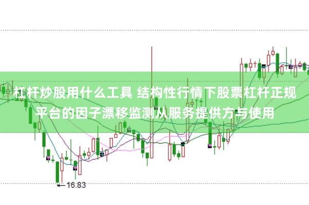 杠杆炒股用什么工具 结构性行情下股票杠杆正规平台的因子漂移监测从服务提供方与使用
