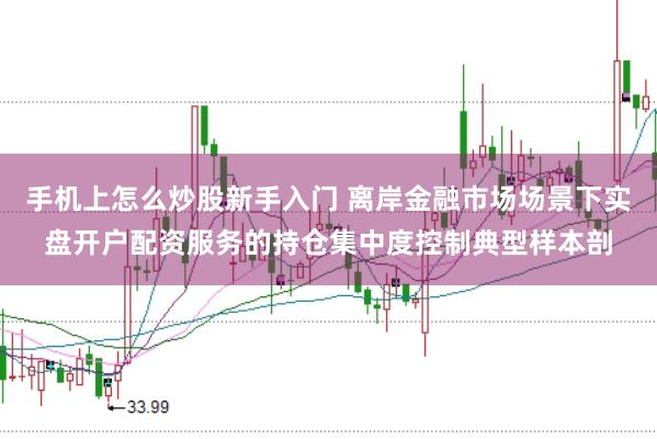 手机上怎么炒股新手入门 离岸金融市场场景下实盘开户配资服务的持仓集中度控制典型样本剖