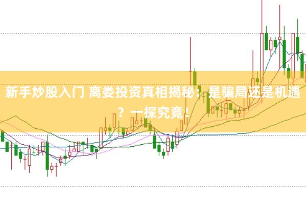 新手炒股入门 离娄投资真相揭秘：是骗局还是机遇？一探究竟！