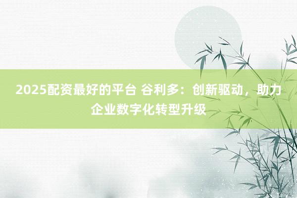 2025配资最好的平台 谷利多：创新驱动，助力企业数字化转型升级